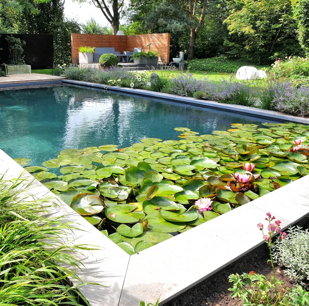 Naturpool